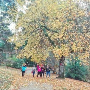 img-20161112-wa0060-01