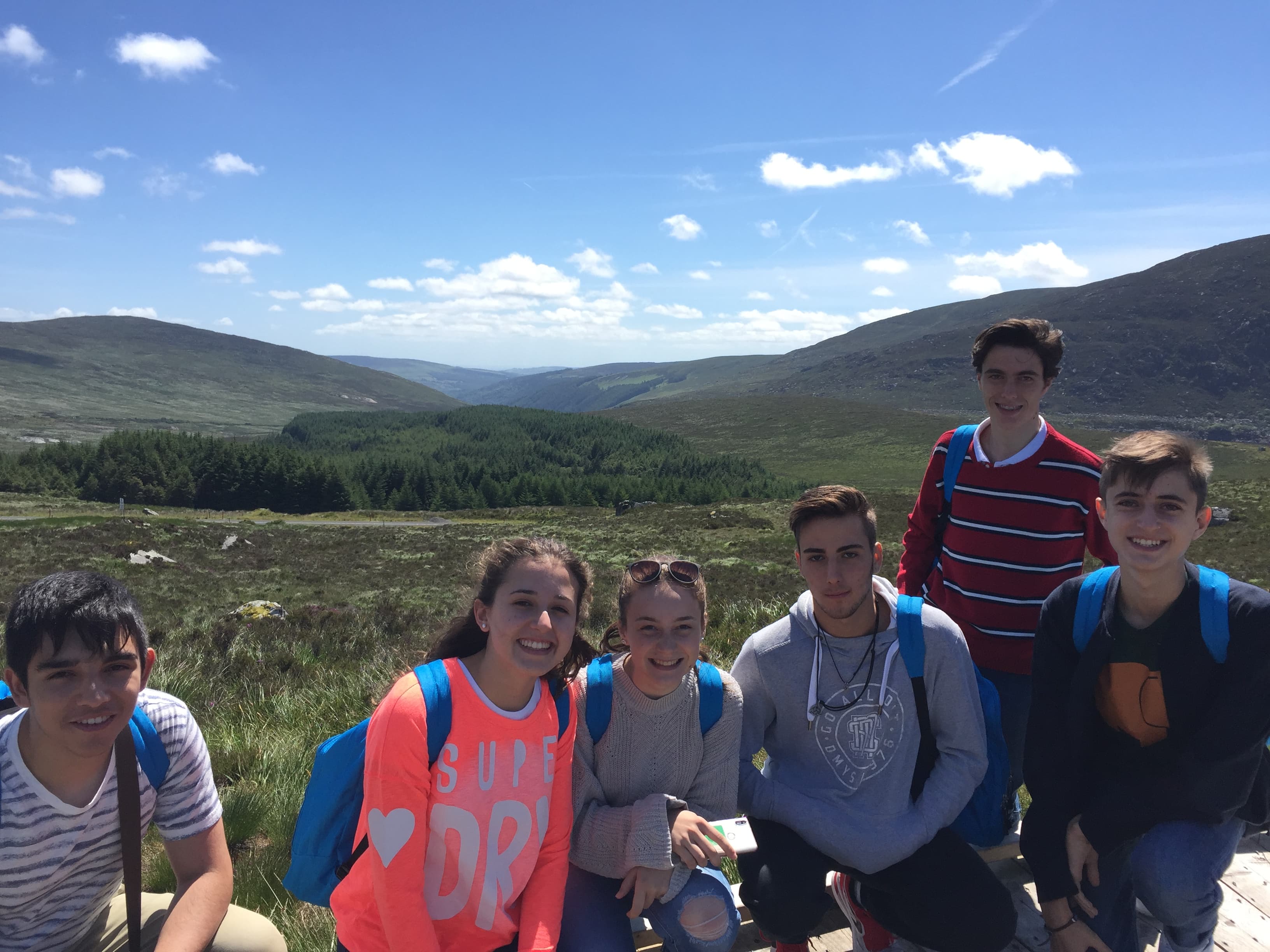 Ciervos en Phoenix Park!