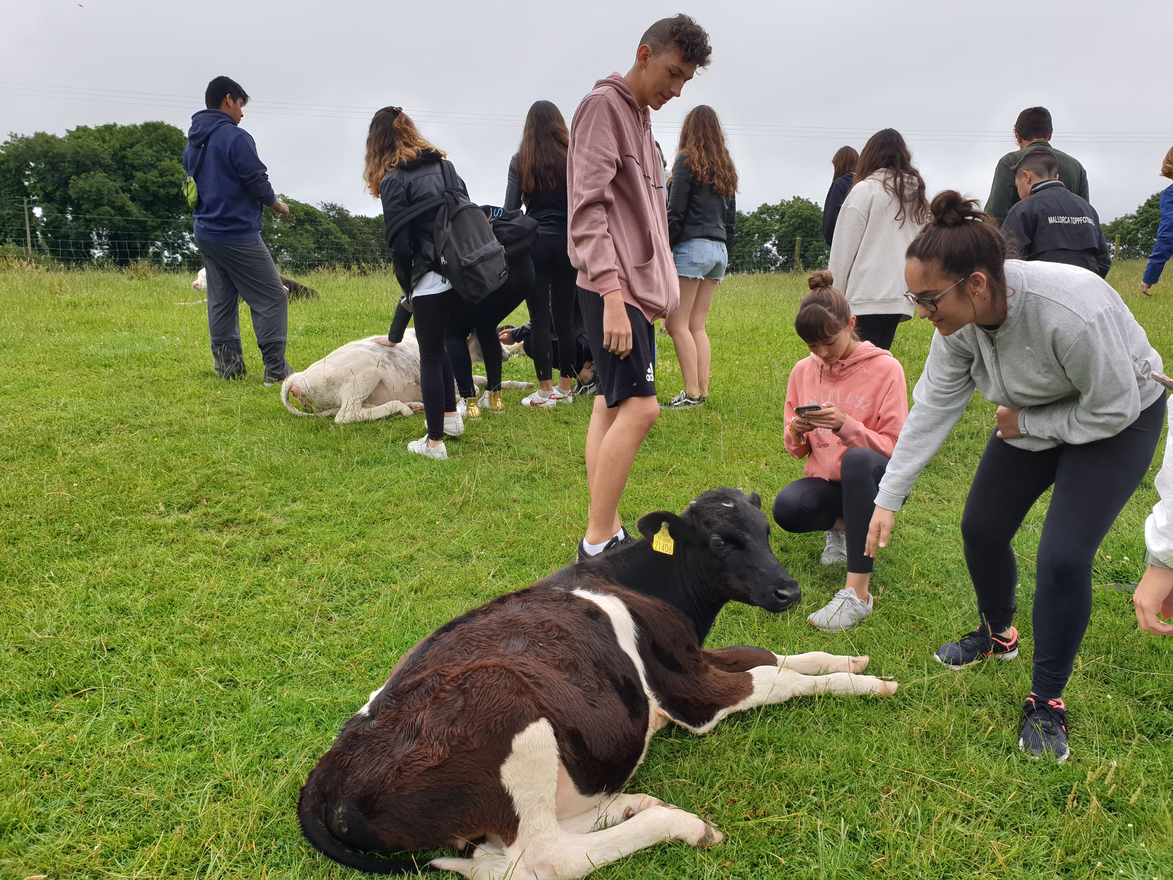 Primera semana en Dublin: Zoo, Dalkey, Galeria de Arte Nacional ... 3