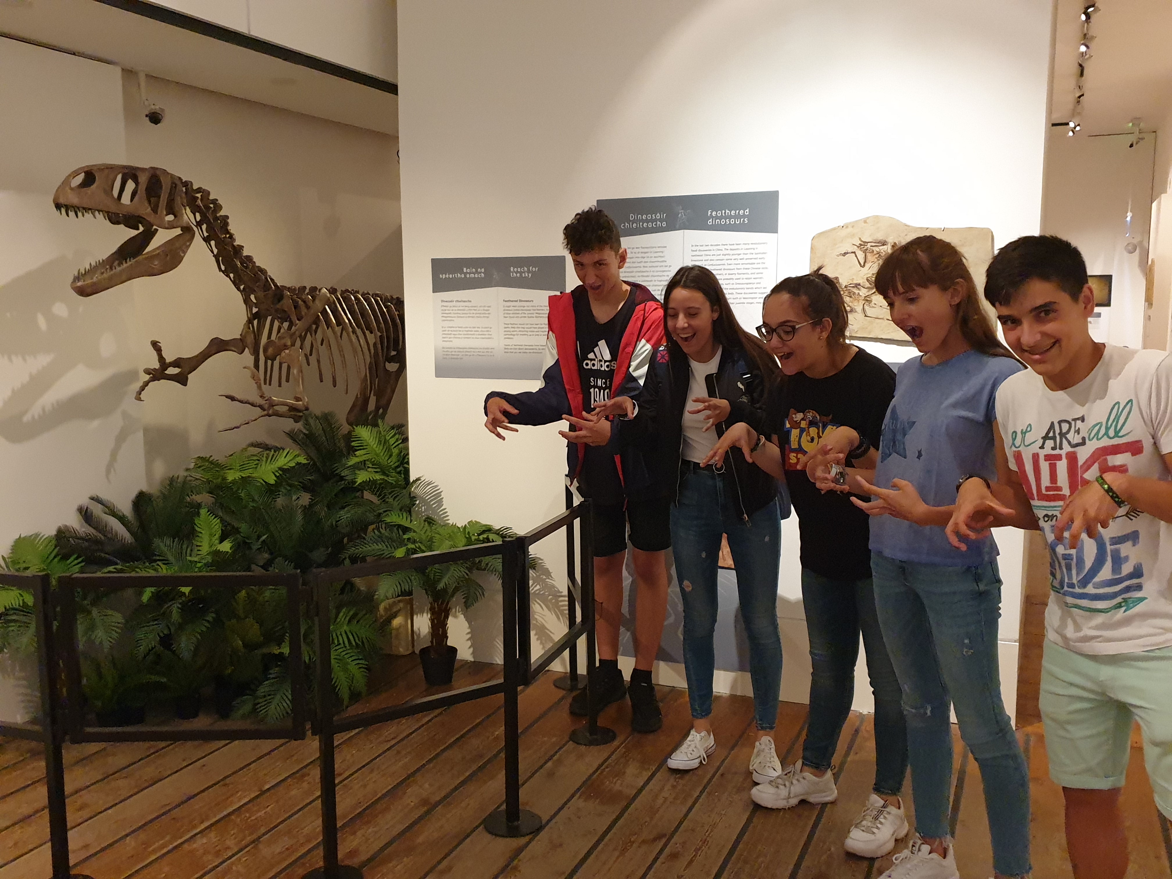 ¡Que tiempo más maravilloso en Dublin! 2