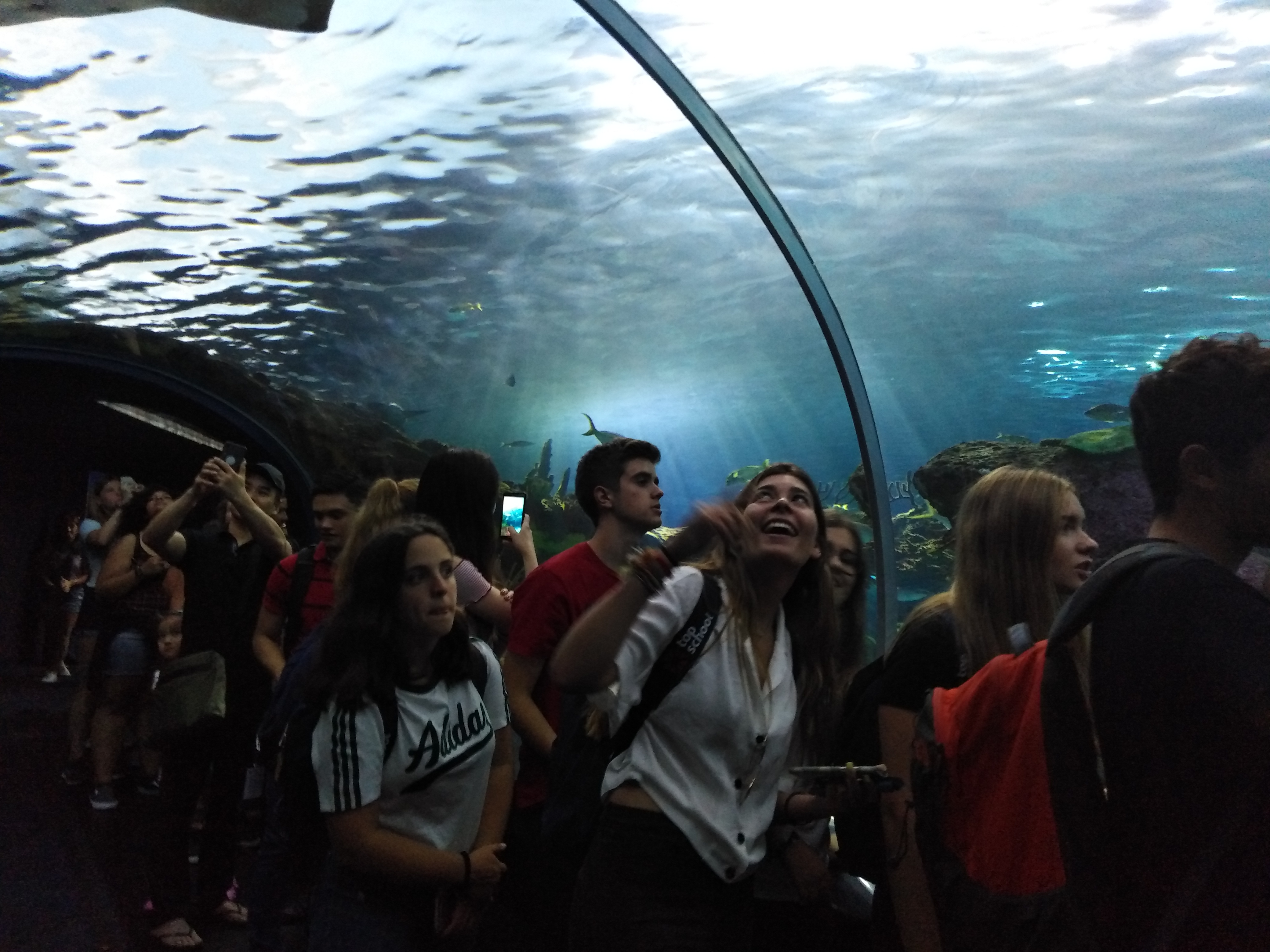 Una pedida de mano en una mansión, una visita al fondo del mar y otras noticias desde Toronto. 3