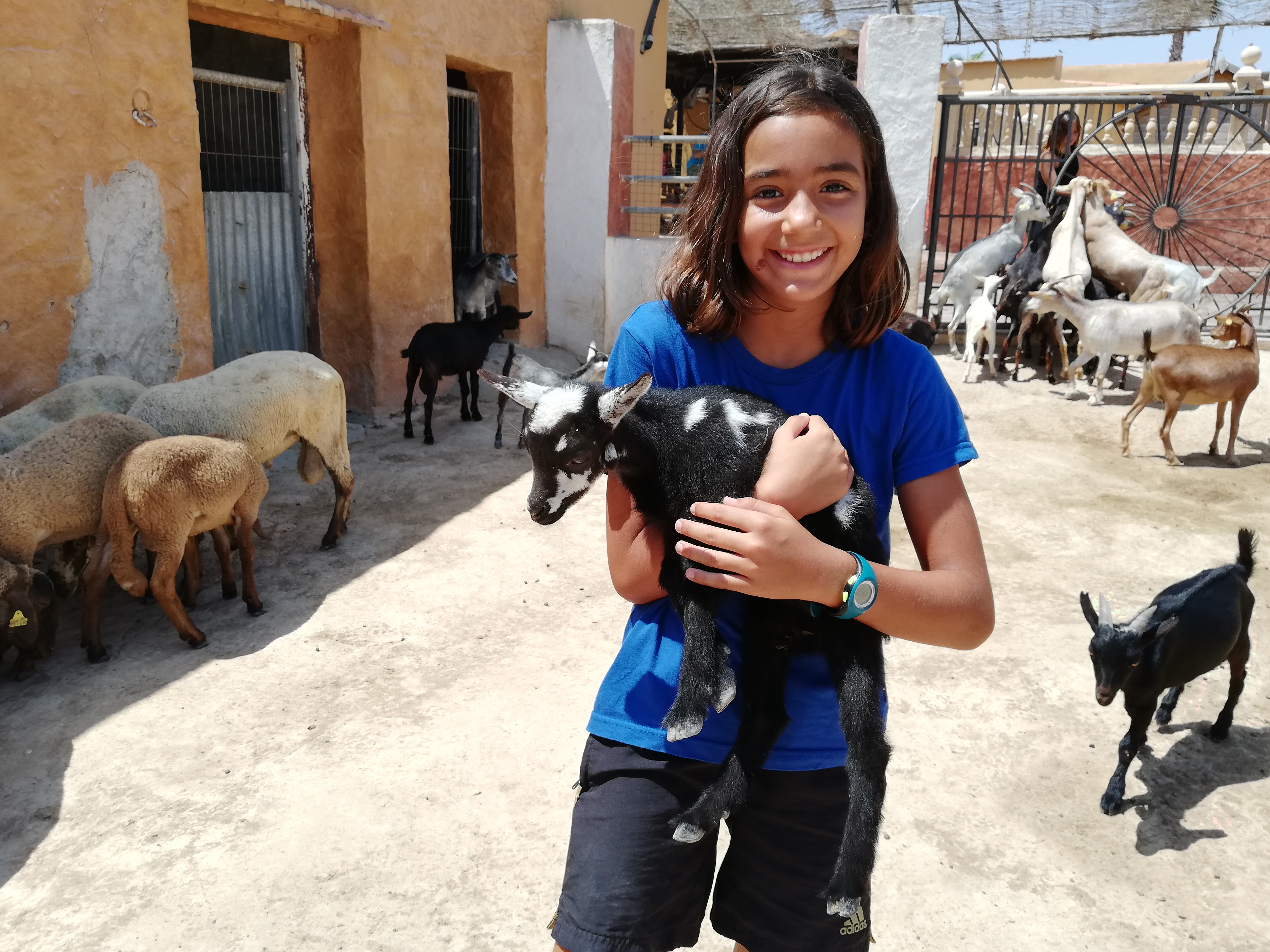 Sonrisas y lágrimas