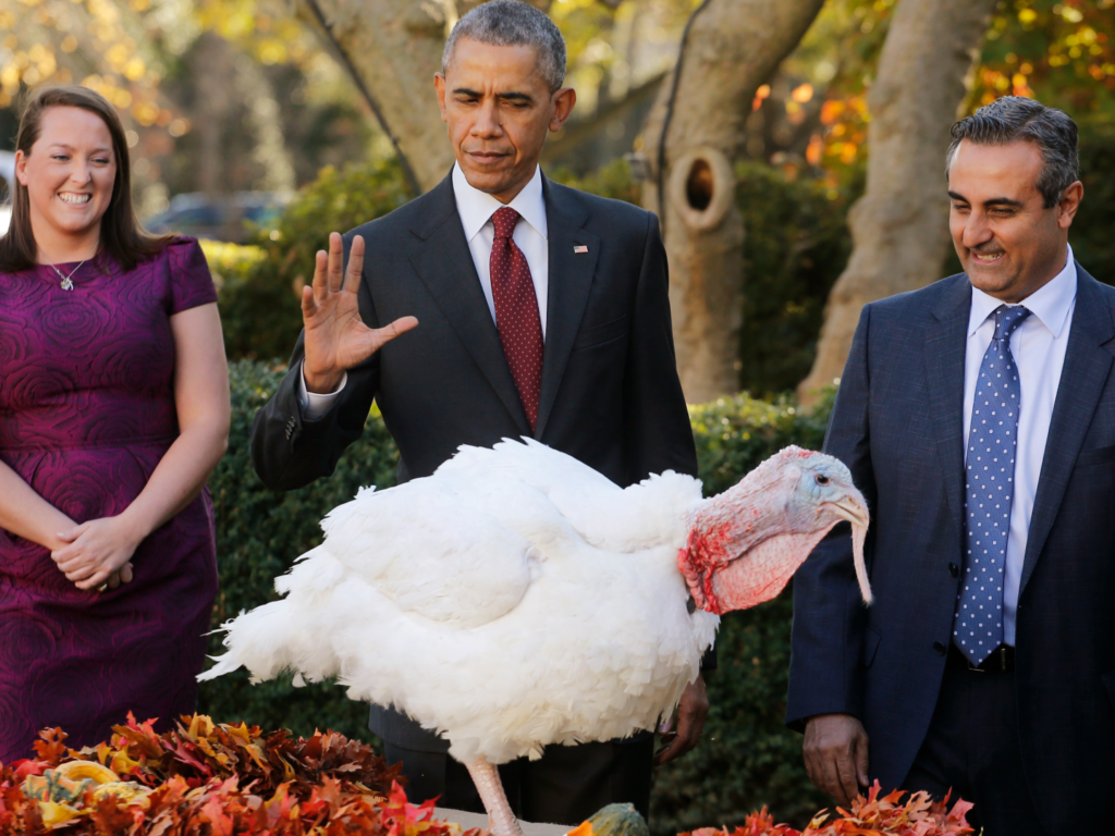 Acción de Gracias en Estados Unidos 2