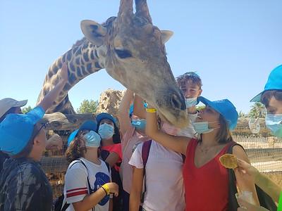 Ha pasado volando…fin del Costa Blanca Camp 2021