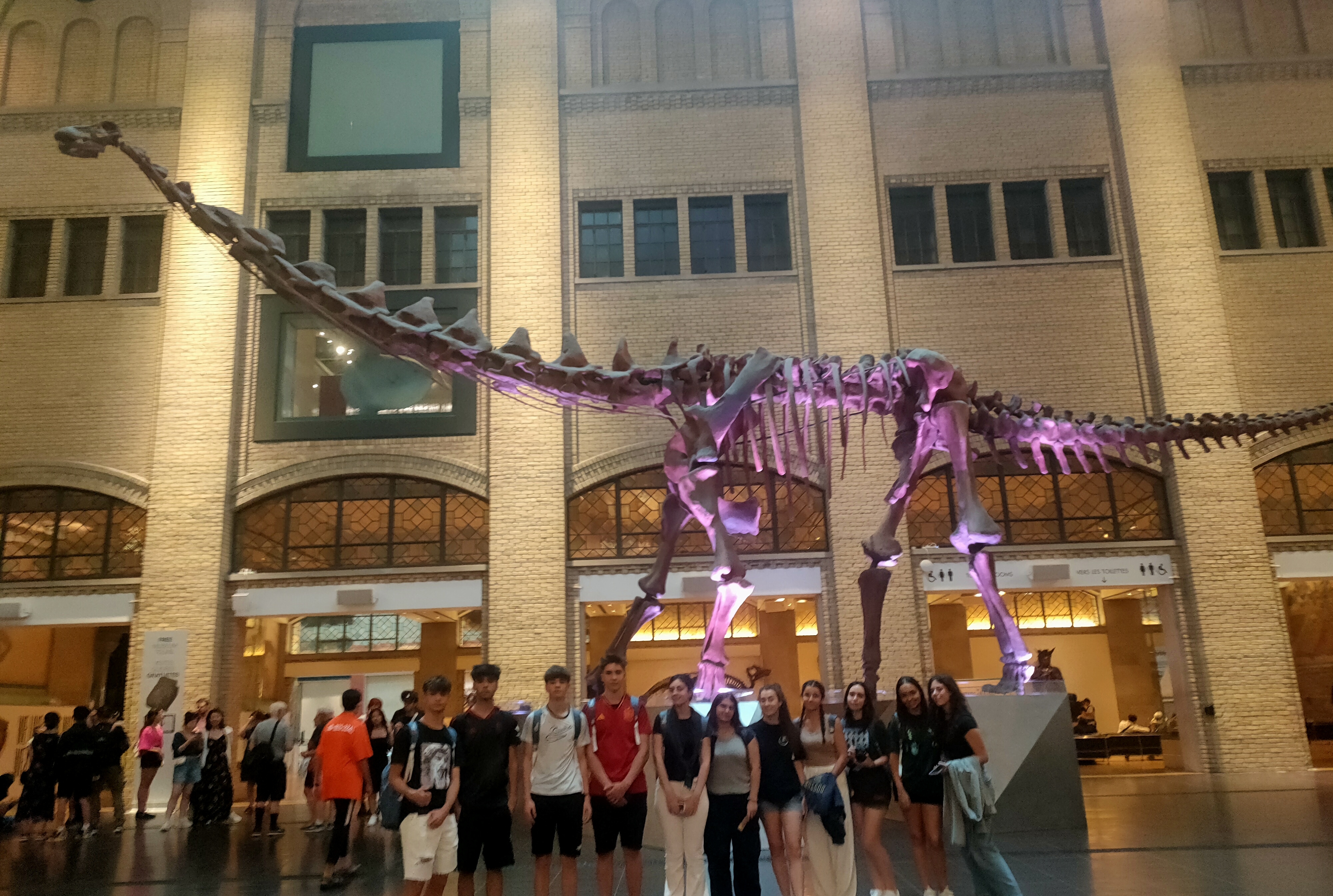 Toronto 2 – Dinosaurios, boas de peluche y muchas fotos