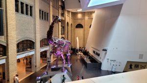 '24 Toronto 2 - ROM, High Park, Zoo y festivales en las calles. 2