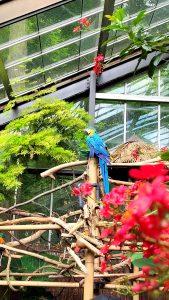 '24 Toronto 2 - ROM, High Park, Zoo y festivales en las calles. 4