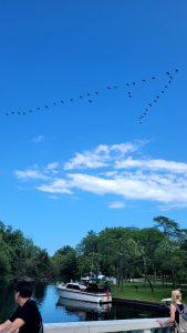 '24 Toronto 4 - Campeones, campeones OE OE OEEE!! 4