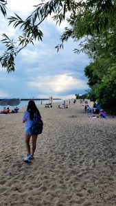 '24 Toronto 4 - Campeones, campeones OE OE OEEE!! 6 '24 Toronto 4 - Campeones, campeones OE OE OEEE!! 6