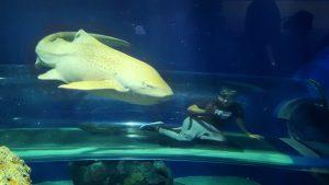 '24 Toronto 4 - Campeones, campeones OE OE OEEE!! 12