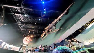 '24 Toronto 4 - Campeones, campeones OE OE OEEE!! 10