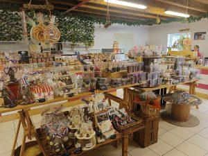 '24 Valle del Loira 4 - Da Vinci, un Talent, Puy du fou y ¡la final! 4