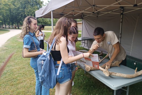 '24 Valle del Loira 5 - Reserva zoológica, paintball y último castillo. 10 ’24 Valle del Loira 5 – Reserva zoológica, paintball y último castillo.