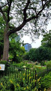 '24 Toronto - Primeros pasos e ilusiones en el Museo 6 '24 Toronto - Primeros pasos e ilusiones en el Museo 6