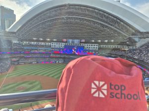 '25 Toronto 2 - Roger Stadium, Cataratas del Niágara, museos, playa... ¡mil aventuras! 3