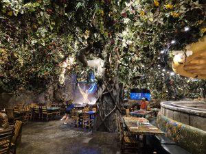 '25 Toronto 2 - Roger Stadium, Cataratas del Niágara, museos, playa... ¡mil aventuras! 7