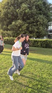 '25 Dublín 2 - De castillos y ciervos a karaoke y gymkanas 1