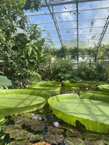 '25 Oxford 2 - Visita a Londres, jornadas deportivas y punting! 2