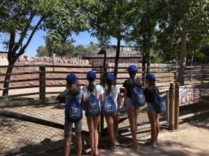 '25 Costa Blanca Camp 1- Días de aventura, noches de fuego, risas y juegos! 7