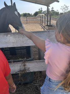 '25 Costa Blanca 3 - Surf, naturaleza y fuego bajo las estrellas 5 '25 Costa Blanca 3 - Surf, naturaleza y fuego bajo las estrellas 5